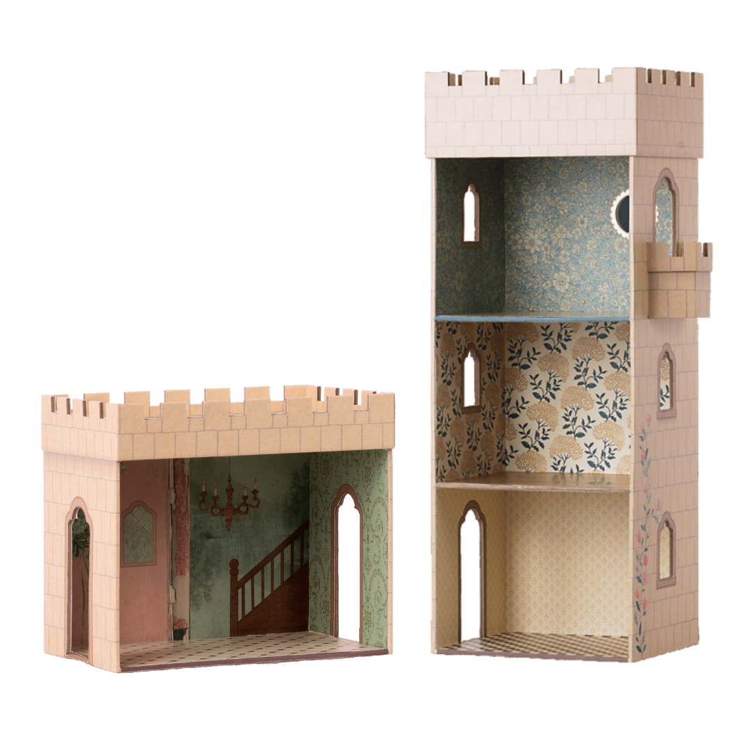 Royal Castle Hall with Mirror Tower