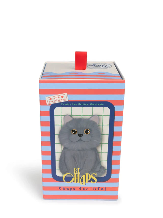 B.T. CHAPS Freddy the British Shorthair in Giftbox - 17cm