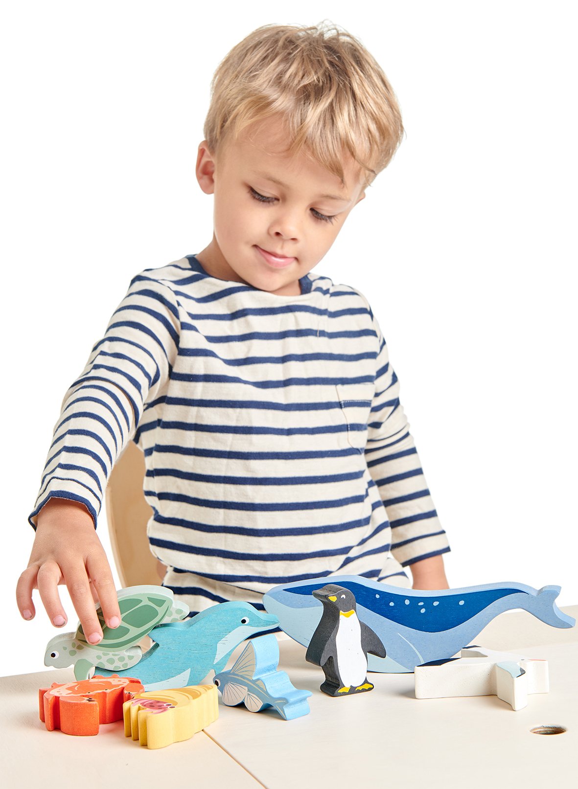 Wooden Coastal Creatures Set & Shelf