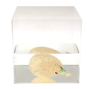 Giant Hatching Dinosaur Egg