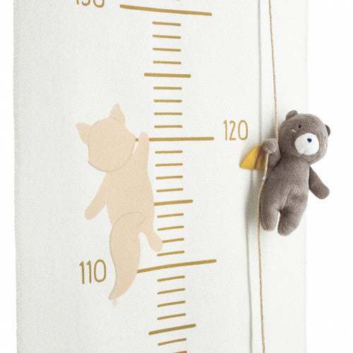 My Height Chart