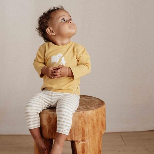 Little Farm Trousers - Multi Stripe