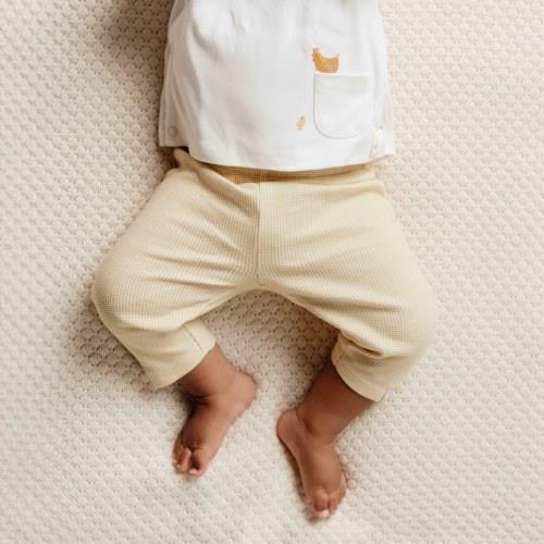 Little Farm Long Sleeved Shirt - Off White