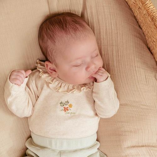 Little Farm Long Sleeved Romper