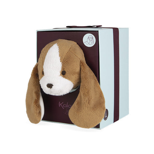 Tiramisu Dog in Gift Box
