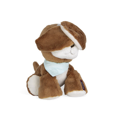 Tiramisu Dog in Gift Box