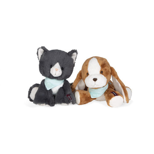 Tiramisu Dog in Gift Box