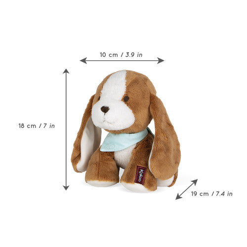 Tiramisu Dog in Gift Box