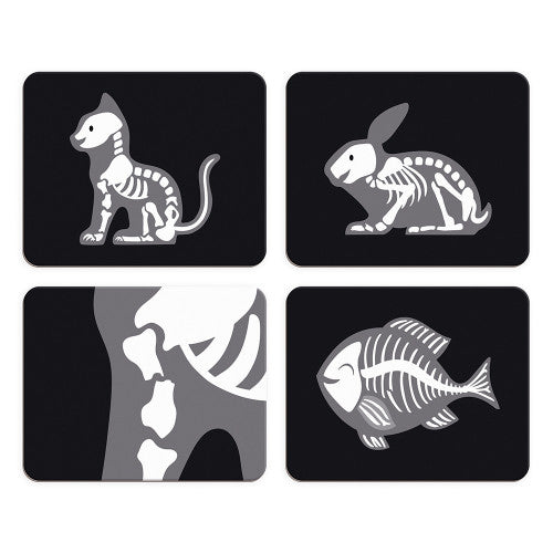Veterinary Suitcase