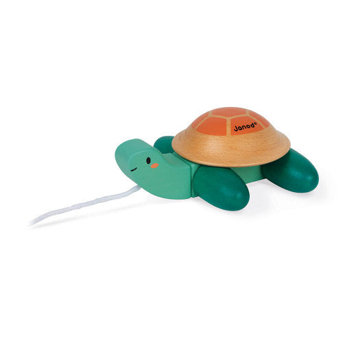 Pull Along Turtle