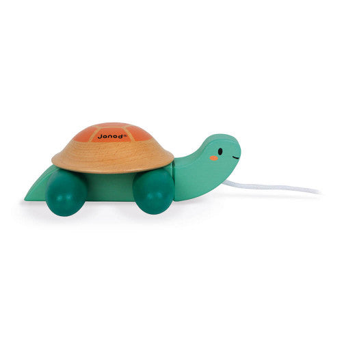 Pull Along Turtle