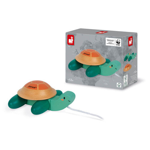 Pull Along Turtle