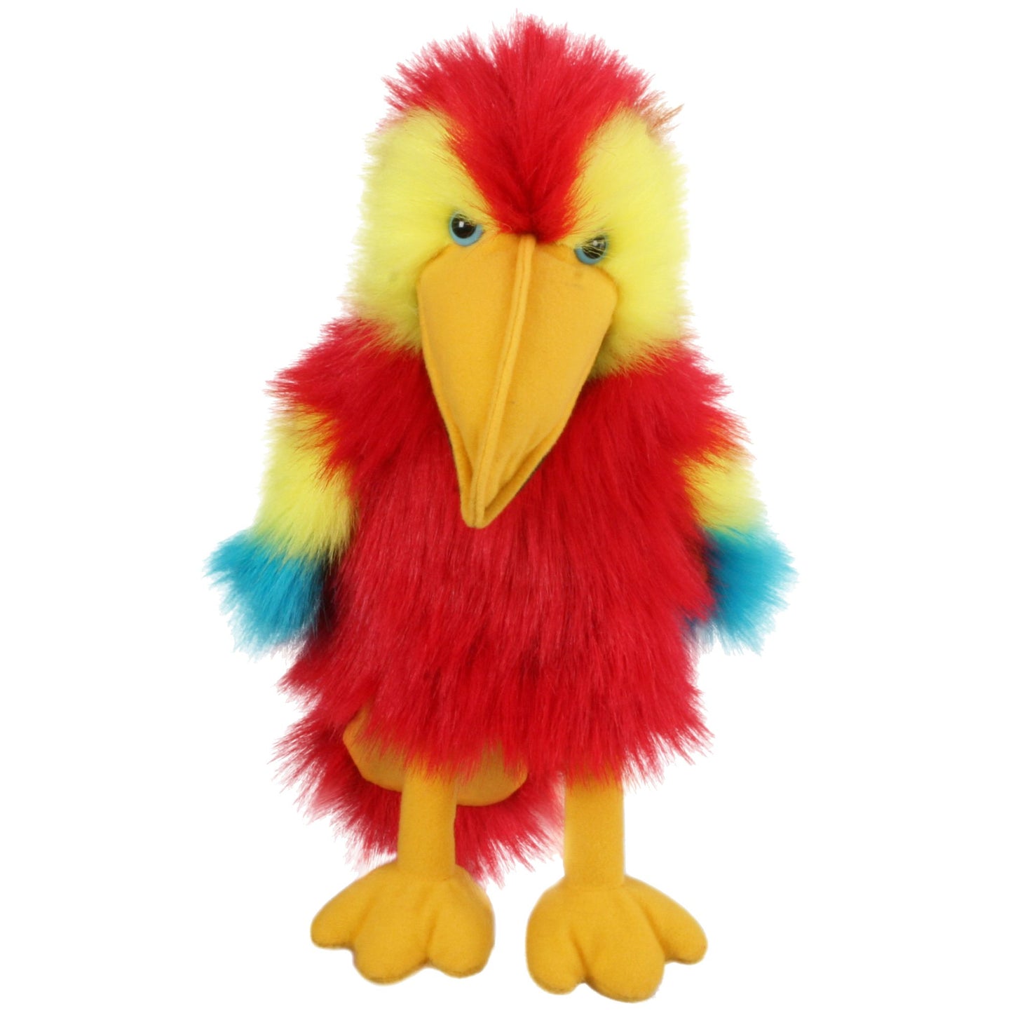 Scarlet Macaw