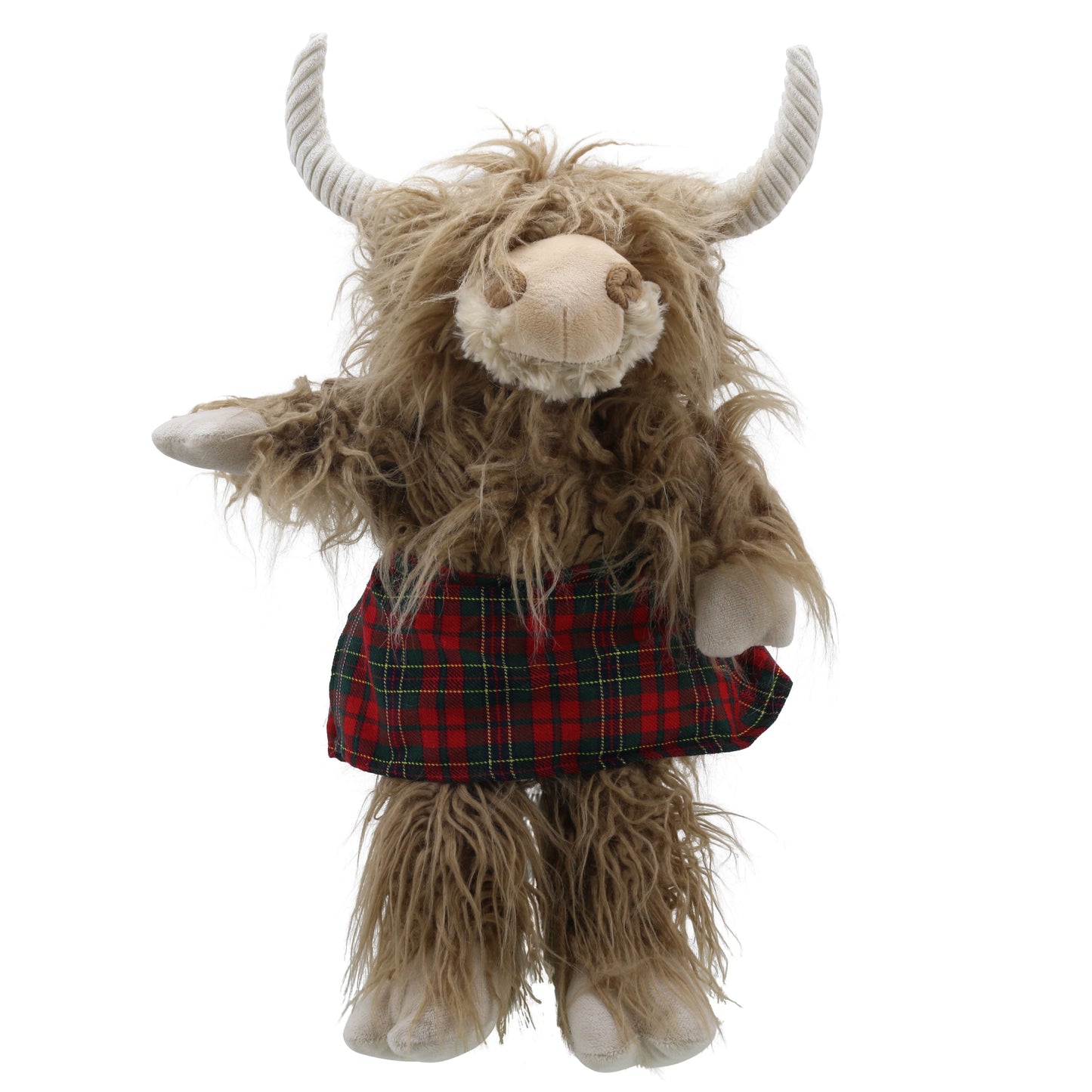 Well Dressed Highland Cow