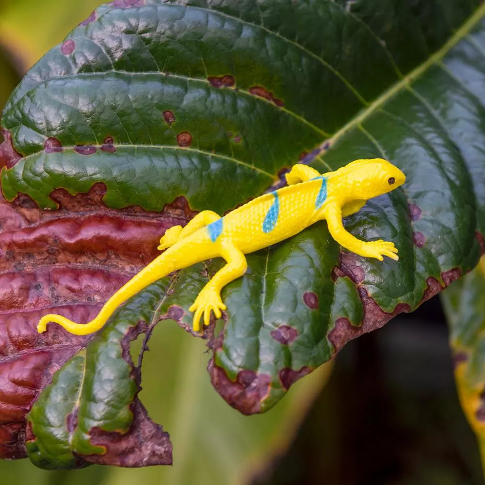 Super Stretchy Gecko