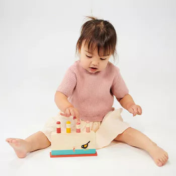 Early Bird Pop Up Toy
