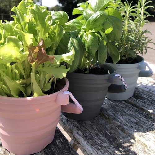 Scrunch Seedling Pot and Trowel