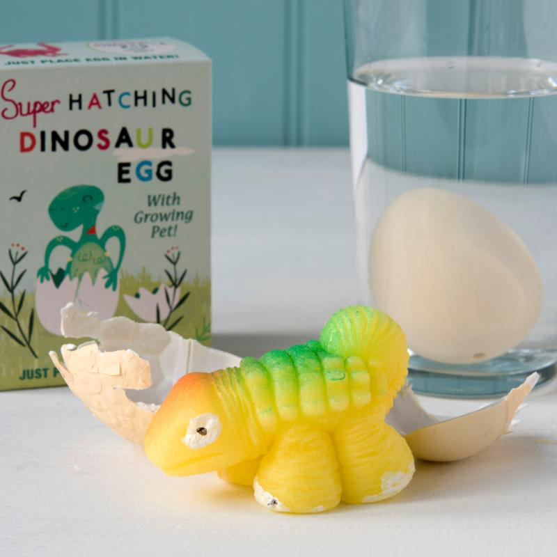 Hatching Dinosaur Egg