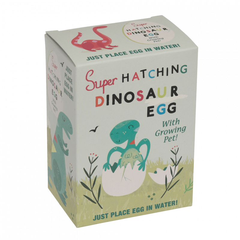 Hatching Dinosaur Egg