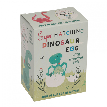 Hatching Dinosaur Egg