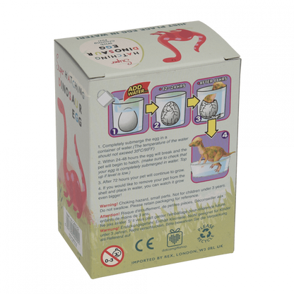 Hatching Dinosaur Egg