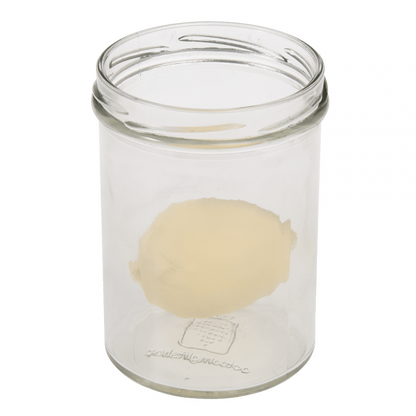 Hatching Dinosaur Egg