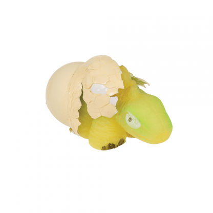 Hatching Dinosaur Egg