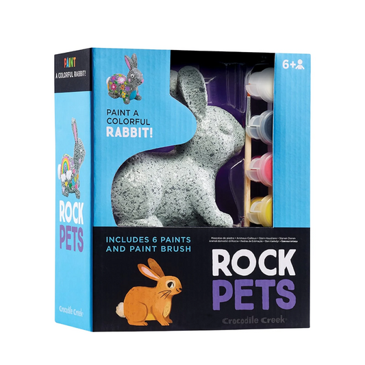 Rock Pets Painting Set - Rabbit