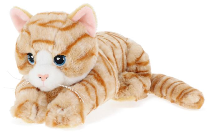 Ginger Kitten - 22cm Eco Cuddly