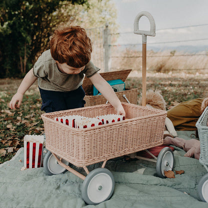 Ratton Wonder Wagon - Rose