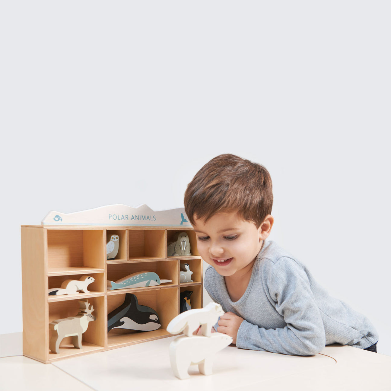 Wooden Polar Animal Set & Shelf