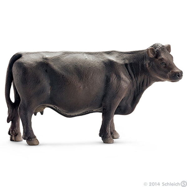 Black Angus Cow