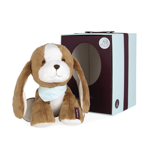 Tiramisu Dog in Gift Box
